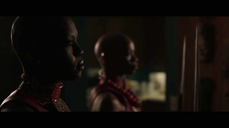 In Black Panther, there wasn't just one superhero