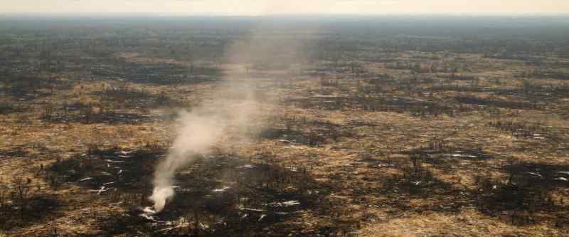 In Botswana, the drought is only getting worse