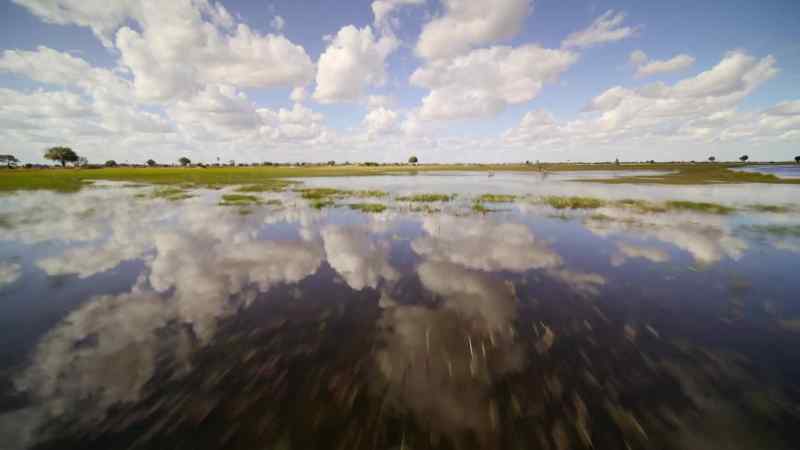 In Botswana's Okavango Delta