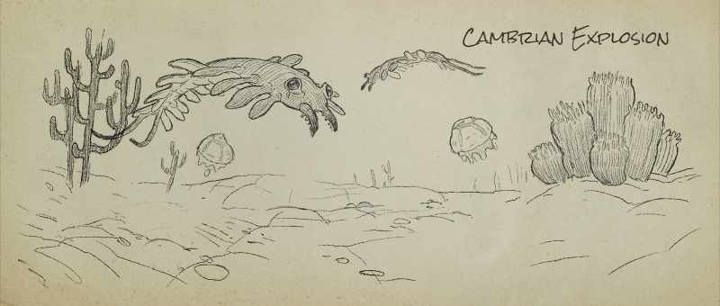 In conventional Paleontology