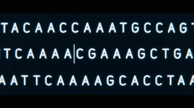 In DNA, wherever you make a cut