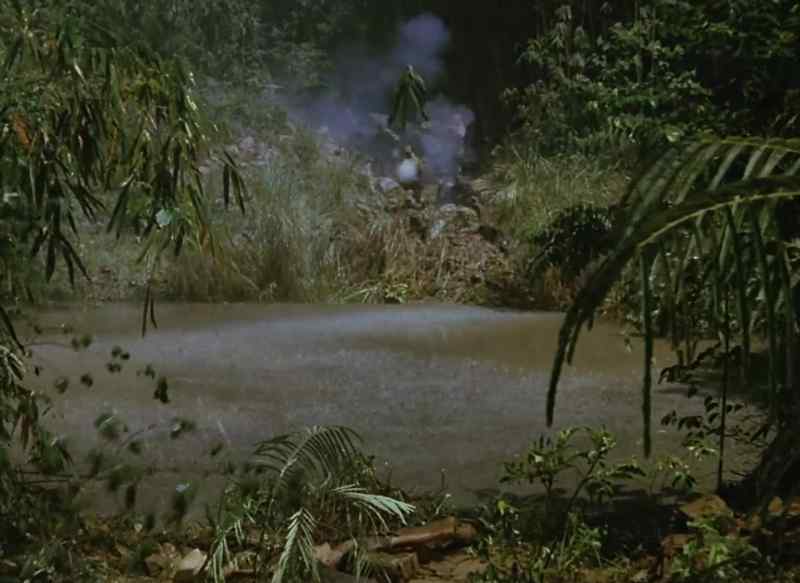 In ever-increasing forces they moved into Leyte