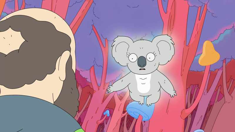 In every realm and every dimension, there must be a Koala Man