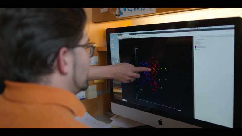 In fact, there's three distinct gut microbiome compositions