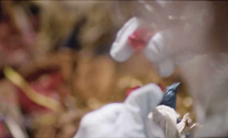 In fact, this is not a bad job