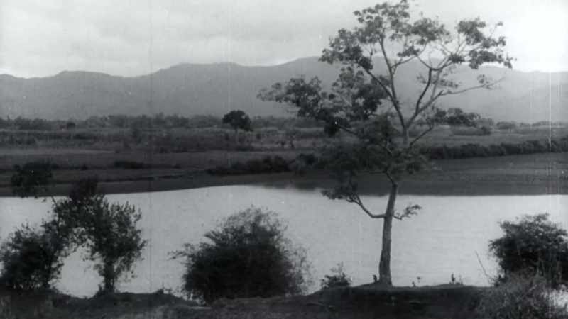 In February of 1941, after three