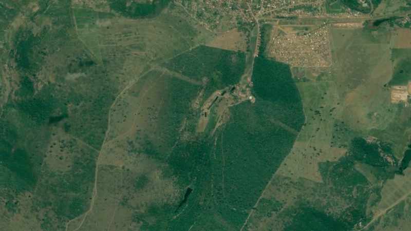 In five years, trees covered the land again