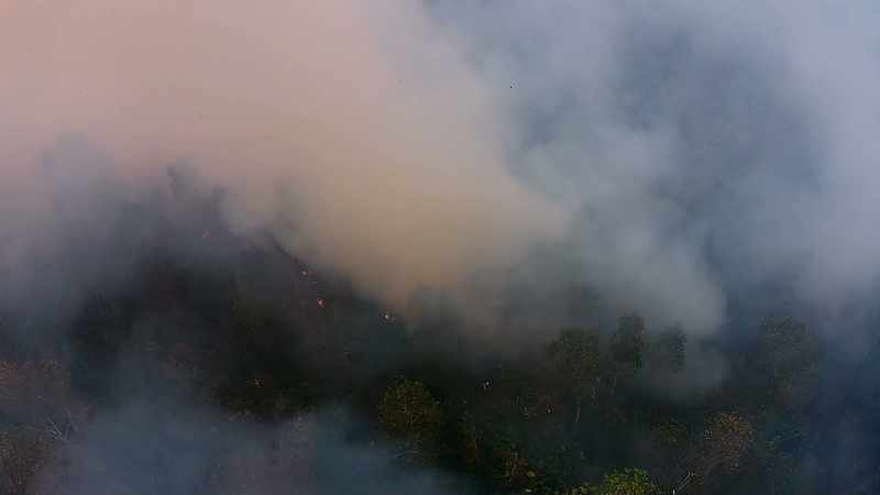 IN INDONESIA, WE'RE SEEING FIRES BEING INTENTIONALLY