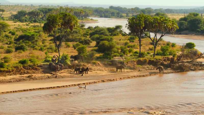 In Kenya,¬†little Jasiri is about to get a valuable first lesson