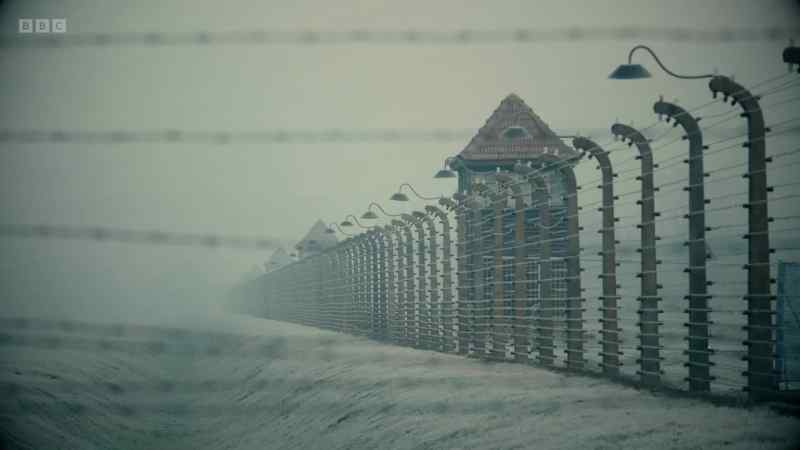 In less than five years in Auschwitz alone