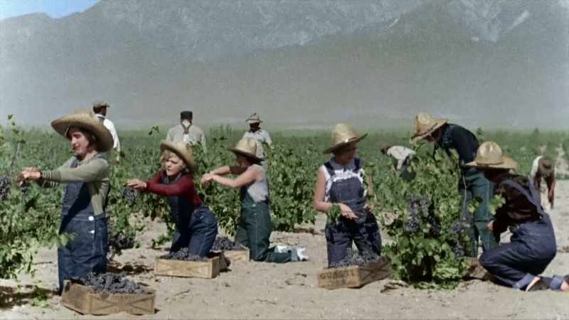 IN NAPA VALLEY, VINEYARDS STOP MAKING WINE