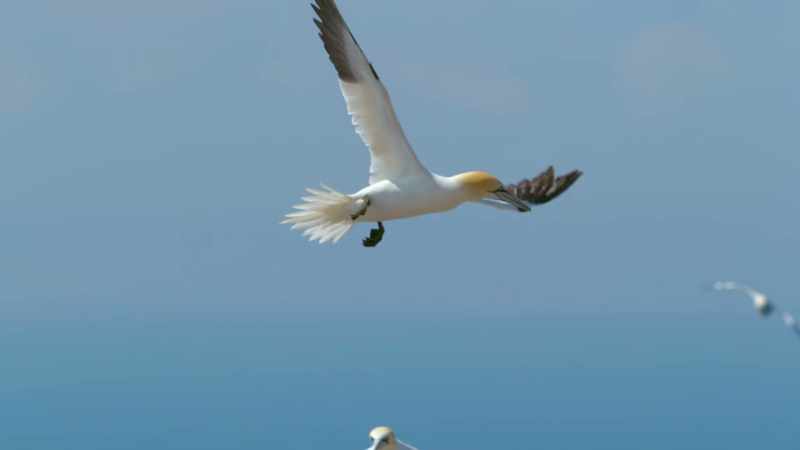 In nature