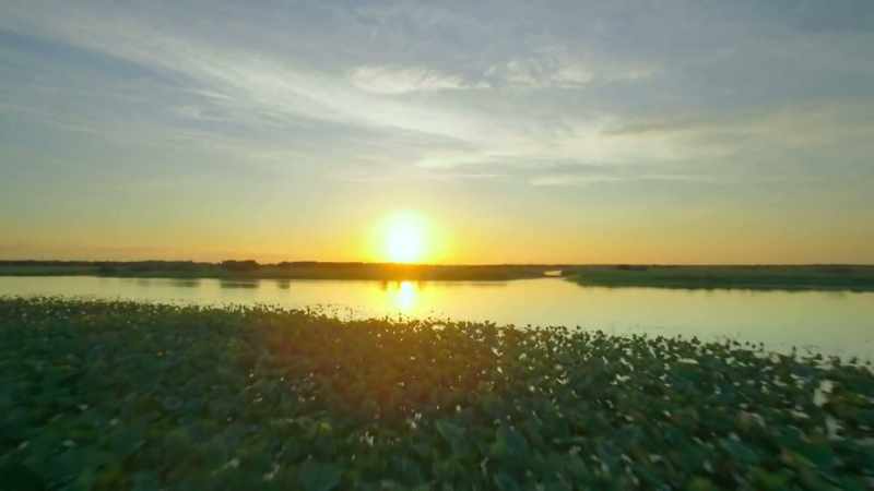 In North Australia, rivers and estuaries