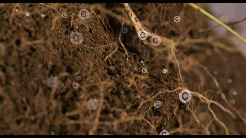 In other words, soil has the unique ability