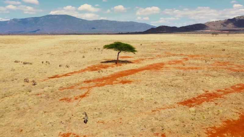 In recent years, Kenya's climate