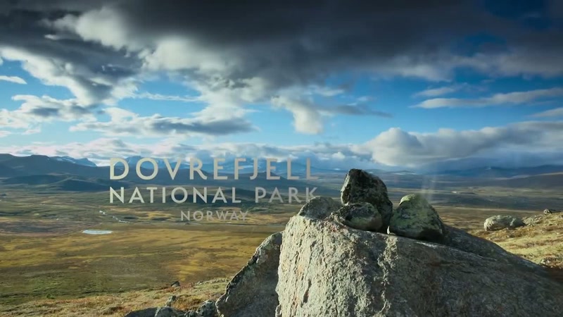 In response to fasting