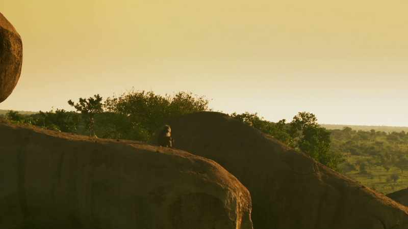 In solitude, Bakari can focus his mind