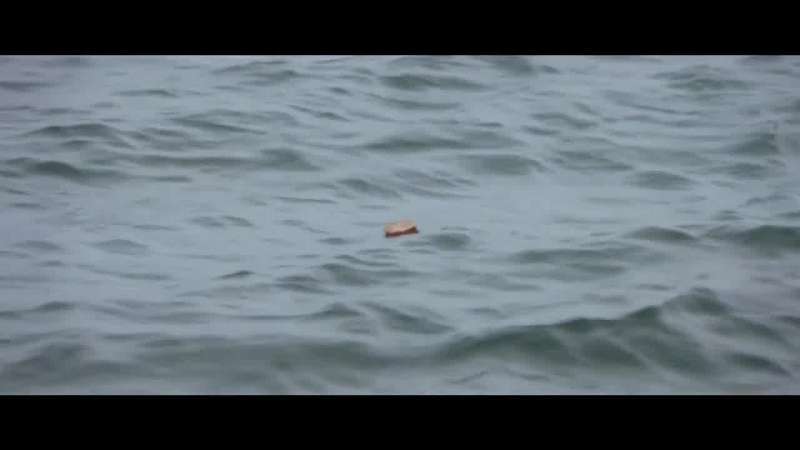 In Steven Spielberg's Jaws