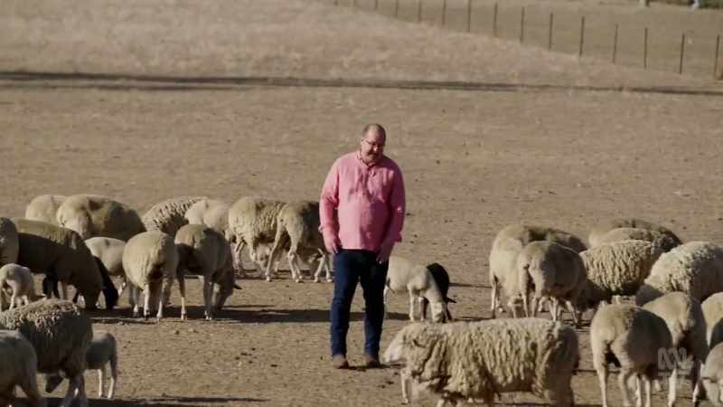 In such times, surplus sheep had their fat rendered down