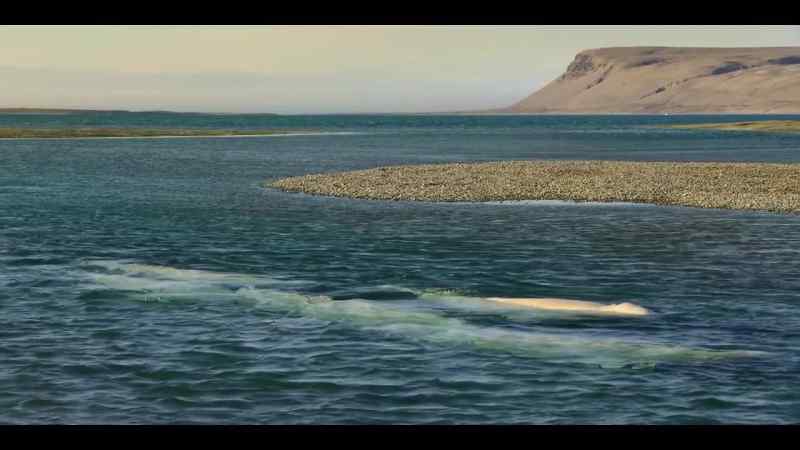 In summer, melting rivers feed the inlet