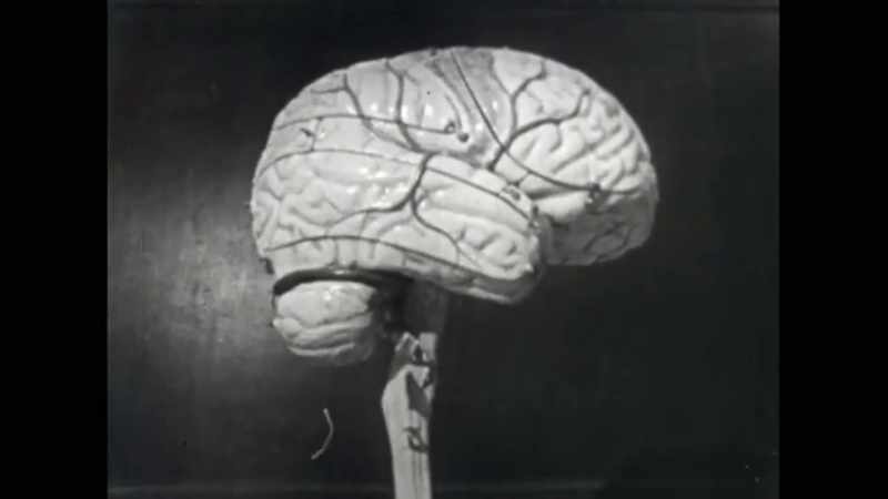 In the '60s and '70s in California at Caltech