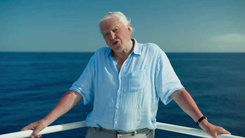 In the course of making Blue Planet II