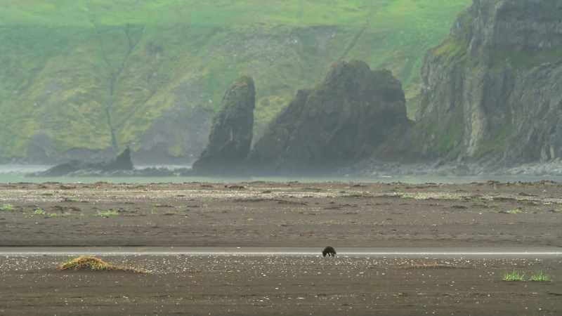 In the distance, her dad has made a big discovery