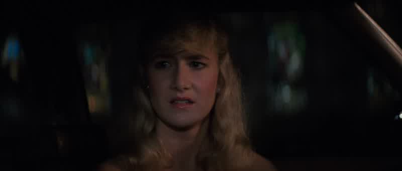 I had a dreamIn fact it was the night I met youIn the dream there was our worldand the world was dark because there weren't any robinsAnd the robins represented loveAnd for the longest time there was