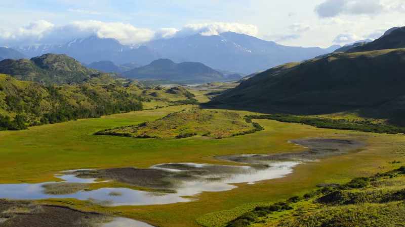 In the fight against climate change