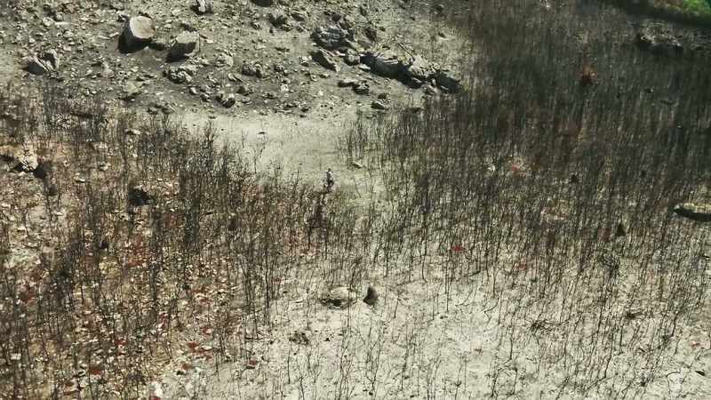 In the fire's aftermath