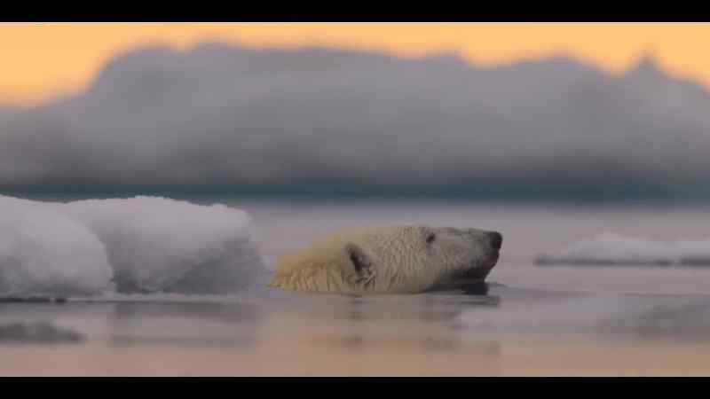 In the global climate crisis