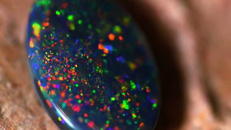 in the search for the legendary black opal