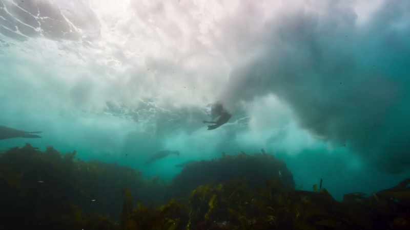 In the shallows