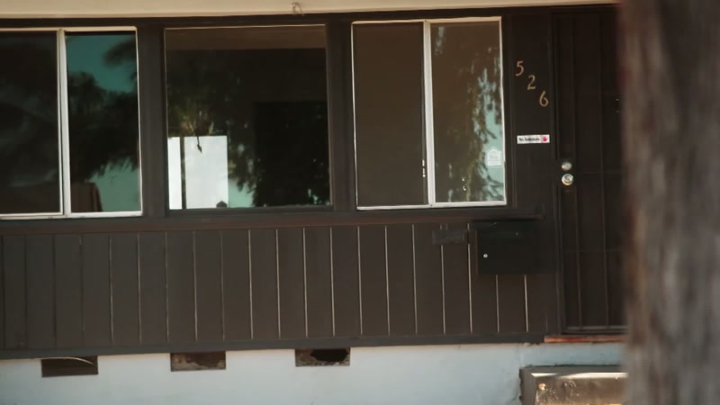 In the summer of 2017