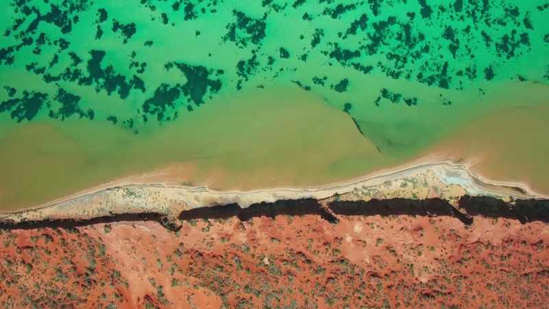 In the sun drenched shallows off Australia