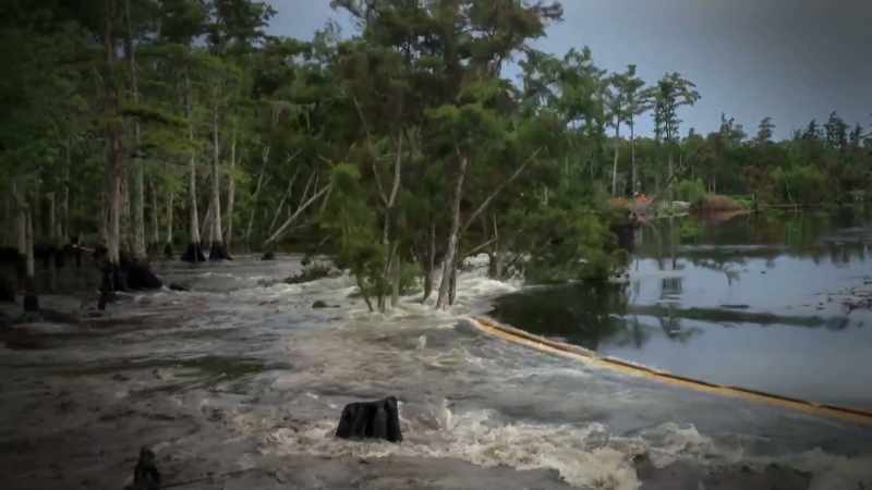 in-the-swamp-before-the-terrifying-event