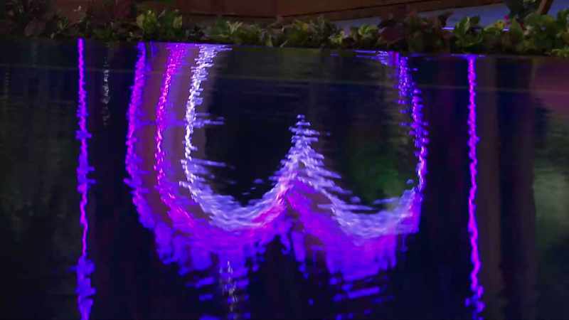 >> IN THE THE RECOUPLING CARO CHOSE CORMAC VERY