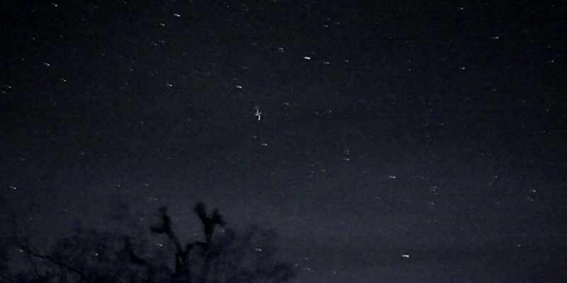 In the unprocessed night vision footage