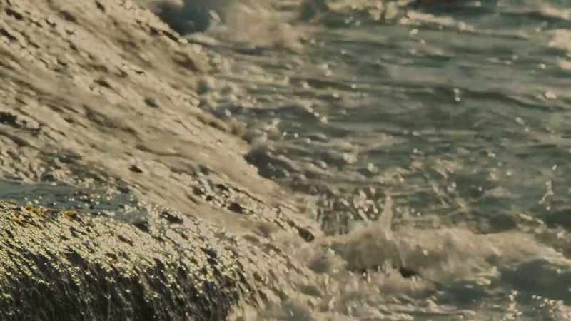 In the water, they become a raft