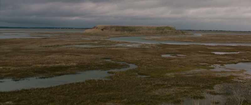 In the wetlands