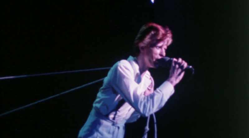 �� In the year of the scavenger ♪