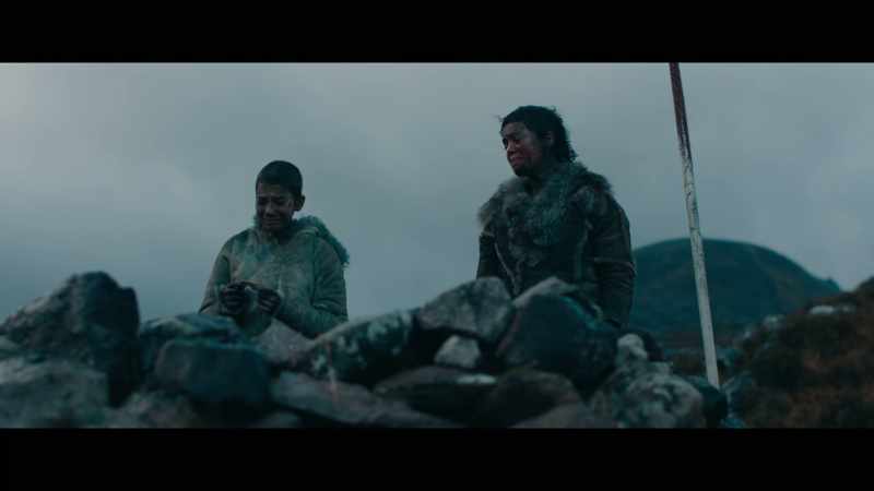 In time the stray and the boy learned to survive