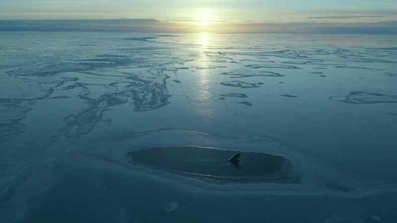 In warmer waters, they will face other challenges