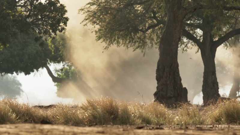 In Zimbabwe, it hasn't rained in six months