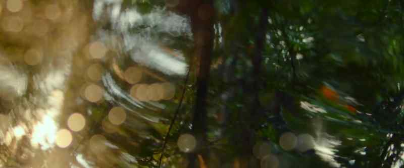 Including, perhaps, the universe itself