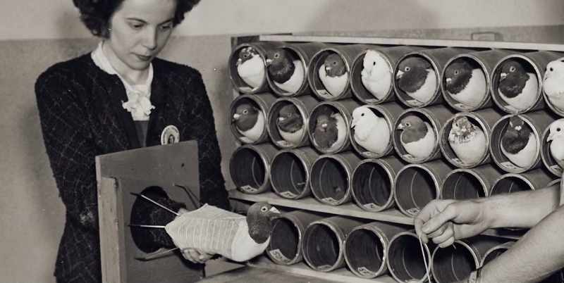 Incredible as it may sound, successful lab tests meant