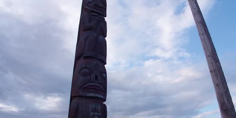 Indigenous cultures and cultures that endorse reincarnation