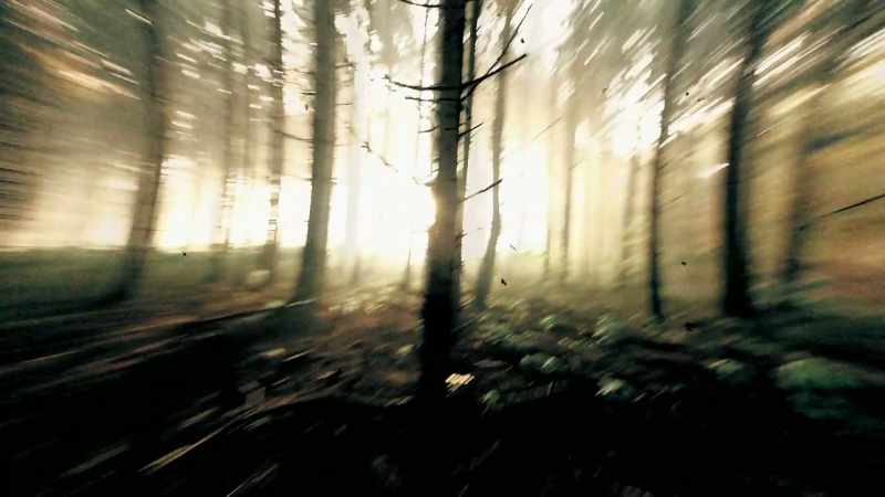 (indistinct)