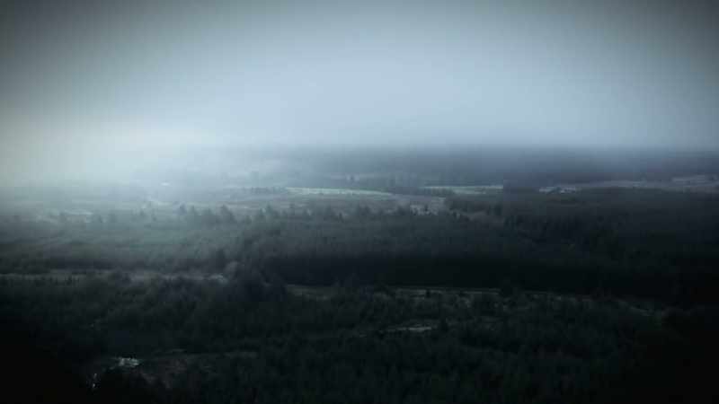 Inga will always be a part of that forest