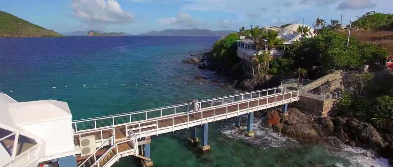 that inhabit the reefs around St. Thomas